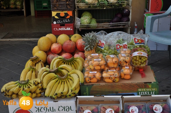 markaz khodare 3 (2).JPG